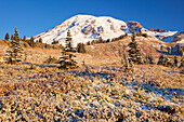 Sonnenaufgang über Mount Rainier und erster Schnee; Washington Vereinigte Staaten Von Amerika