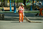 City Worker Sweeping A Public Square With A Palm Tree Branch; Mendoza Argentina