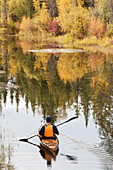 Männlicher Kajakfahrer paddelt auf einem ruhigen Fluss im Herbst, dessen Farben sich im Wasser spiegeln; Calgary Alberta Kanada