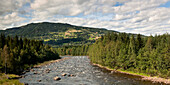 Ein von Wald umgebener Fluss; Hochland Norwegen