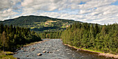 A River Surrounded By Forest; Highlands Norway