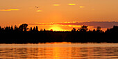 Orange leuchtender Sonnenuntergang über einem See; Lake Of The Woods Ontario Kanada