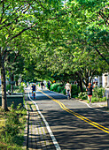 West Side Bicycle Lanes, New York City, New York, USA