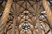Niedriger Blickwinkel auf die Säulenhalle, Lonja de la Seda, Seidenbörse, Valencia, Spanien