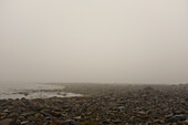 Starker Nebel bei Ebbe am Strand