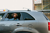 Hund schaut vom Rücksitz eines Autos aus dem Fenster