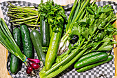 Assorted cucumbers, zucchini, red and white spring onions, green asparagus, celery and parsley