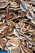 Dried fish at a market (Thailand)