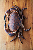 A crab on a wooden background