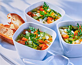 Vegetable soup with toasted bread