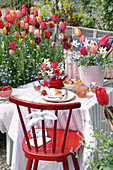 Gedeckter Gartentisch und Tulpen (Tulipa) im Frühling