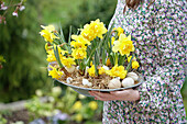 Frau hält Dekoteller mit Osterglocken (Narcissus) und Eiern