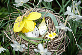 Narzissen (Narcissus) im Nest mit dekorierten Ostereiern und Schneeglöckchen