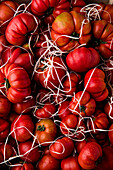 Ox tomatoes (filling the picture)