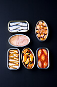 Canned products with mussels, sardines, octopus and tuna