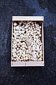 White mushrooms in a box