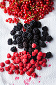 Red currants, blackberries and raspberries
