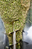 Mixer in the production of herb tofu