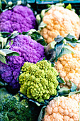 White and purple cauliflower, broccoli and romanesco at the market