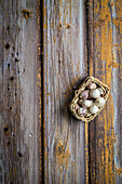 Garlic in a basket