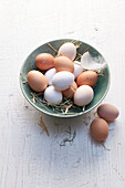 Fresh hens' eggs
