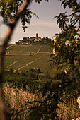 Typisches Dorf auf einem Hügel, Piemont, Italien