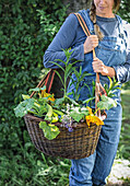 Woman carrying basket with freshly harvested summer vegetables and herbs
