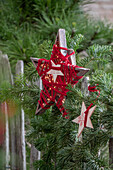 Holzsterne auf Tannenzweig an Gartenzaun, Weihnachtsdeko
