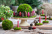 Vier Kerzen auf Baumscheiben mit Moos dekoriert, Mooskugeln und Zapfen, Adventsdeko