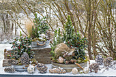 Adventsdeko im Garten mit Christbaumkugeln, Zapfen, Blumenschalen mit Stechpalme (Ilex), Zuckerhutfichte und Gräser mit Schnee
