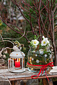 Weihnachtliches Gesteck, Schneerose (Helleborus Niger) und Nadelzweigen im Glas, Windlicht auf Holzbank im Garten