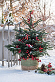 Christmas tree decorated with crabapples