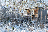 Verschneite Beete im winterlichen Garten