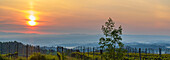 Sonnenaufgang über den Weinbergen der Toskana. Toskana, Italien.