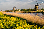 Niederlande, Kinderdijk. Windmühlen entlang des Kanals.