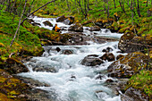 Norwegen, Nordland, Tysfjord. Frau sitzt am Storelva, dem Fluss, der aus dem Stetind (Norwegens Nationalberg) fließt. (MR)