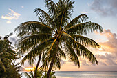 Französisch-Polynesien, Moorea. Sonnenuntergang über Insel und Meer.