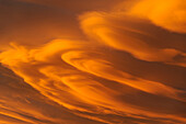 Chile, Aysen. Lenticular clouds at sunset.