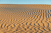 Guerrero Negro, Mulege, Baja California Sur, Mexico. Sand dunes at sunset along the western coast.