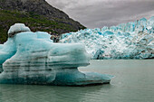 Icebergs from Margerie Glacier slowly melt into Glacier Bay.