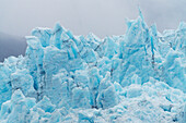 Alaska, Kenai-Halbinsel. Nahaufnahme von Aialik Glacier.