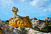 USA, Arizona, Vermilion Cliffs National Monument. Weiße Tasche, wirbelnde, vielfarbige Formationen aus Navajo-Sandstein