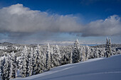 USA, Idaho. Winterlandschaft am Bear Lake