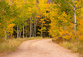 USA, Idaho, Highway 36 westlich von Liberty Feldweg und Espen im Herbst