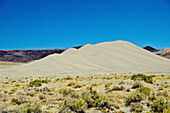 USA, Nevada, Fallon. Dünen in der Sand Mountain Recreation Area