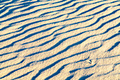 USA, New Mexico, White Sands National Monument. Ripple patterns in white sand dune.