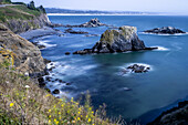 Usa, Oregon, Newport. Coast Surrounding Yaquina Head Lighthouse