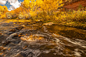 USA, Utah, Calf Creek Recreation Area in autumn.