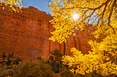 USA, Utah, Grand Staircase Escalante National Monument. Felsformationen und Pappelbäume.