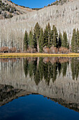 USA, Utah. Reflections on Warner Lake, Manti-La Sal National Forest.